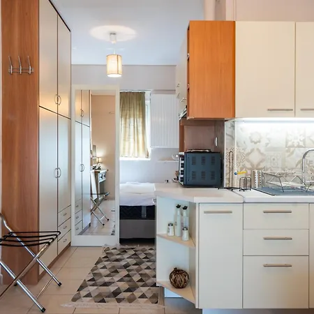 Penthouse Daphne Apartment Athens